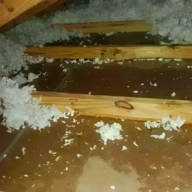 Attic Water Damage in Armstrong County, TX