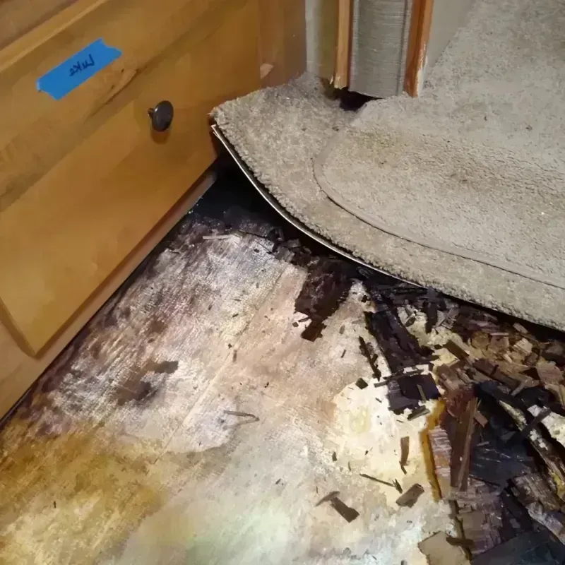 Wood Floor Water Damage in Armstrong County, TX